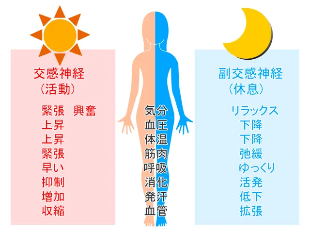 自律神経を整える|富士市プライベートサロン